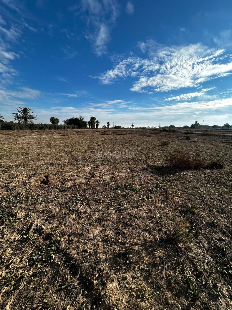 Finca rústica en Partida marina 14. Terreno con casita de aperos — 1/6