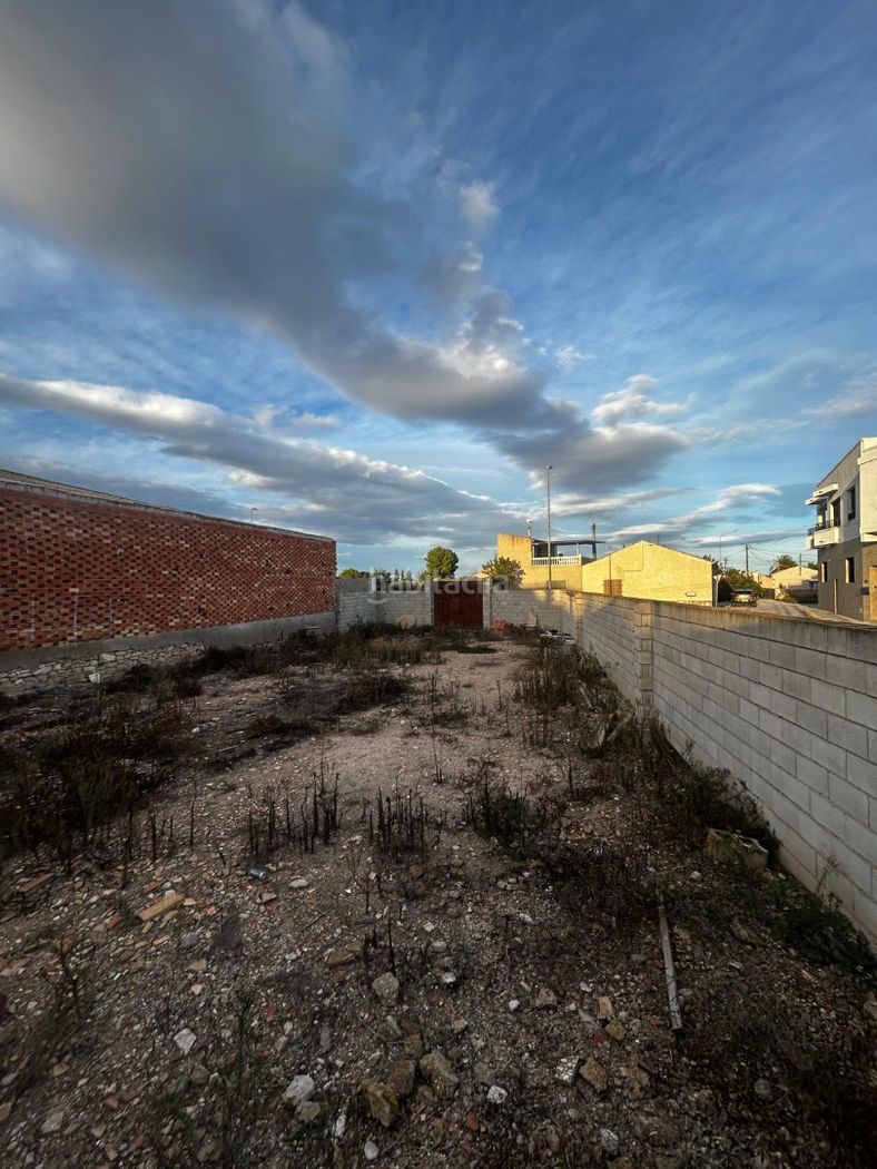 Terreno residencial Avenida de la constitución. Terreno en catral — 1/4